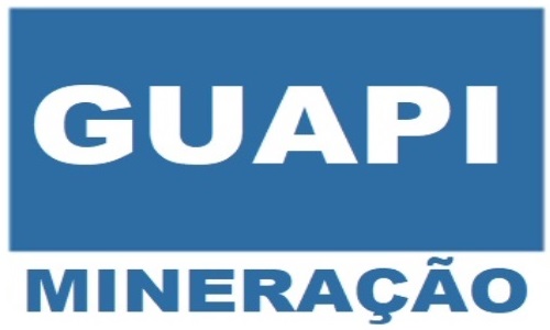 Logo 1